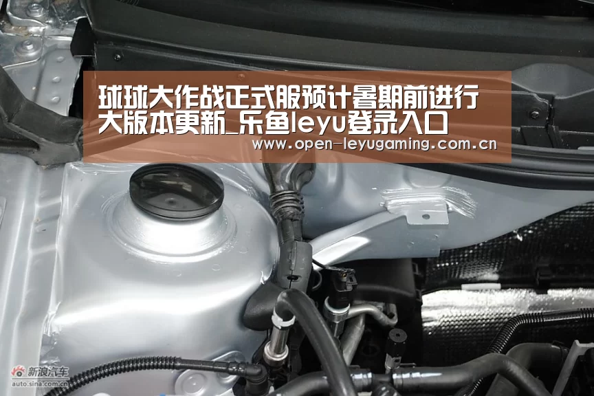乐鱼真人