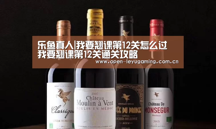 乐鱼leyu登录入口